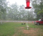 IMG_0398.JPG