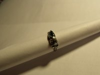 DSCF9023.JPG