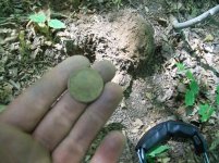 JULY 12TH 2 COPPER DAY & A SPUR ROWEL 008.jpg