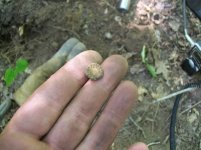 JULY 12TH 2 COPPER DAY & A SPUR ROWEL 009.jpg