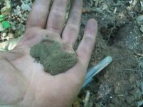 JULY 12TH 2 COPPER DAY & A SPUR ROWEL 012.jpg