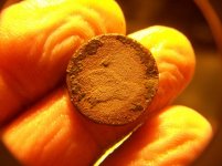 JULY 12TH 2 COPPER DAY & A SPUR ROWEL 016.jpg
