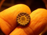 JULY 12TH 2 COPPER DAY & A SPUR ROWEL 022.jpg