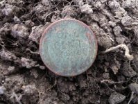 42 wheat in dirt.jpg
