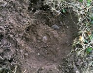 coin in hole.jpg