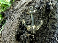 navy cross.jpg
