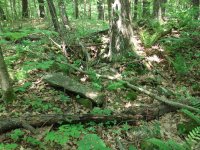 DSCF0276.JPG