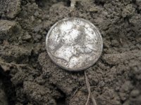 8-3-12 1.JPG
