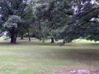 100_2753.jpg