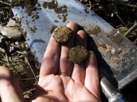 AUG 20TH 2 WORTHLESS COPPERS IN SAME HOLE 006.jpg