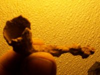 AUG 20TH 2 WORTHLESS COPPERS IN SAME HOLE 009.jpg