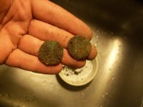 AUG 20TH 2 WORTHLESS COPPERS IN SAME HOLE 012.jpg