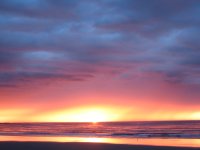 IMG_1031.JPG