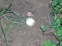 100_2928.jpg