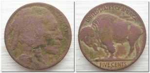 1916D Buffalo.jpg