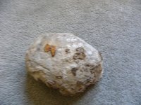 DSCN7294.JPG