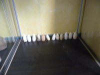 DSCN7297.JPG