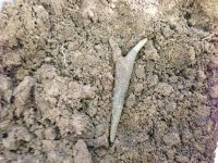 brass conical arrow point 1.JPG