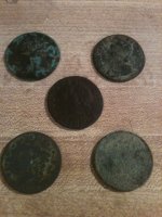 Nov 3 5 Coppers.jpg
