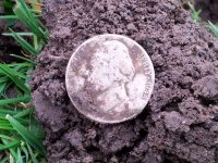 43 War Nickel 6.jpg