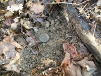 NOV 24th RECORD BREAKING COPPERS 001.jpg