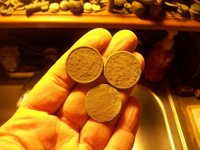 NOV 24th RECORD BREAKING COPPERS 016.jpg
