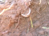 IMG_5778.JPG