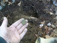 NOV 25th 2 more  COPPERS 85 on the year 009.jpg