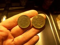 NOV 25th 2 more  COPPERS 85 on the year 013.jpg