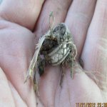 2012 11 21_4850_edited-1.jpg