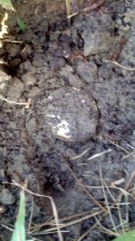 2012-11-29_15-31-07_292.jpg
