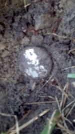 2012-11-29_15-31-18_130.jpg