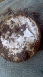 2012-11-29_15-32-17_586.jpg