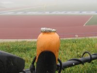 IMG_0002.JPG