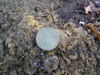 DEC 22nd 3 copper day  90 on the year 007.jpg