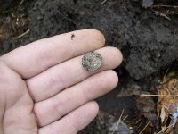 DEC 22rd 1853 HALF DIME 007.jpg