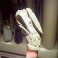 2012-02-28_22-21-45_312.jpg