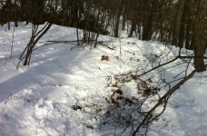 IMG_3097.jpg
