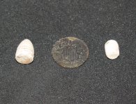 shield nickel 1.JPG