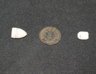 shield nickel 2.JPG