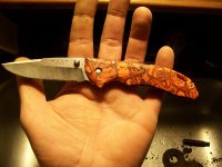 JAN 27TH 2  DANDY BUTTONS,BUCK KNIFE & WATERBURY ICE TAG 009.jpg