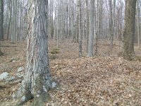 feb 2 crappy hunt 001.jpg