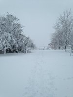 Snow Storm 2013.jpg