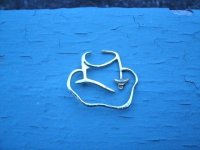 found gold 3-1-2013 001.JPG