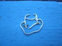 found gold 3-1-2013 002.JPG