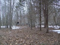 MARCH 2ND & 3RD WEEKEND HUNT 001.jpg