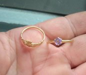 Amathyst Gold (2).JPG