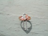 31 March 2013 004.JPG