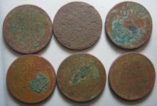 Wheats 3 29 & 31.JPG