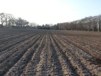 20130401_183422.jpg